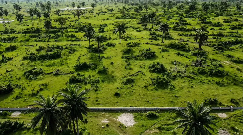 Aerial view highlighting Eneka First Market and Igbo Etche Road corridor proximity
