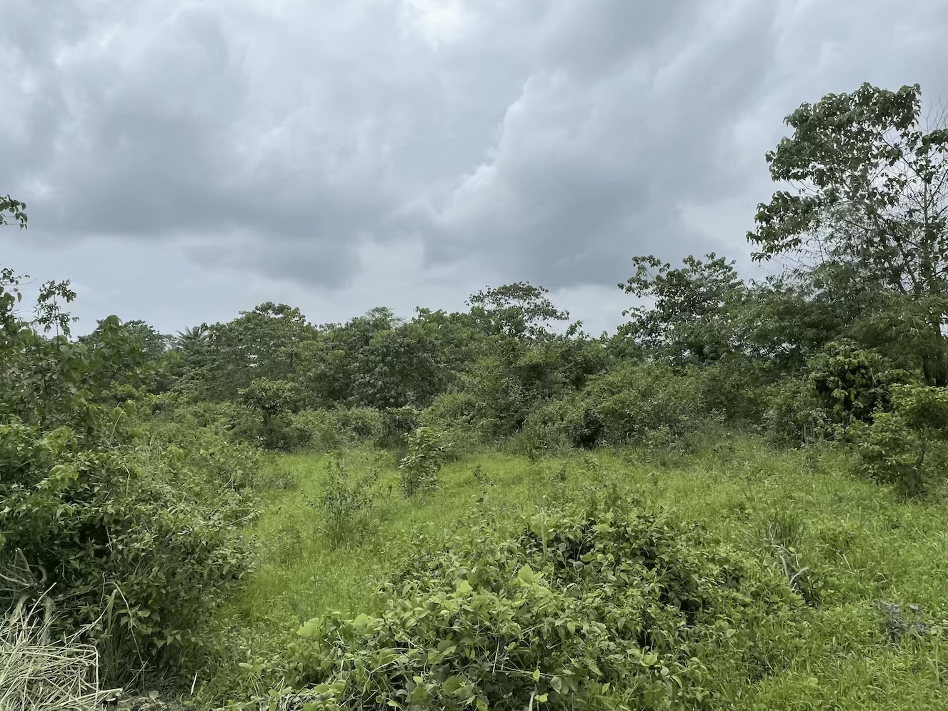 Aerial view 3 highlighting landscape surrounding Igwuruta Ali corridor